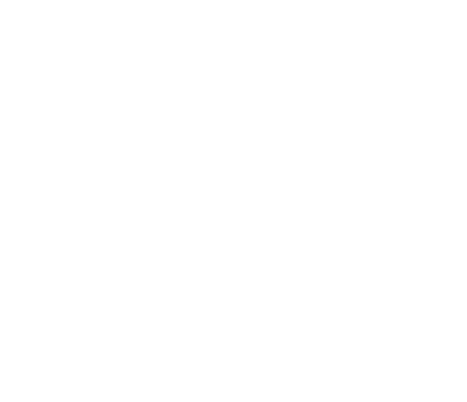 Ansys logo