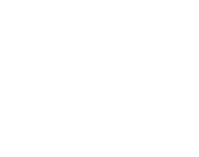 Public Metals logo